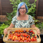 Corinne Mossati with Tomato Harvest January 2023