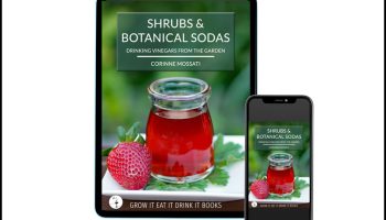 SHRUBS & BOTANICAL SODAS